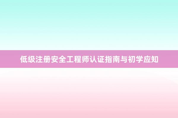 低级注册安全工程师认证指南与初学应知