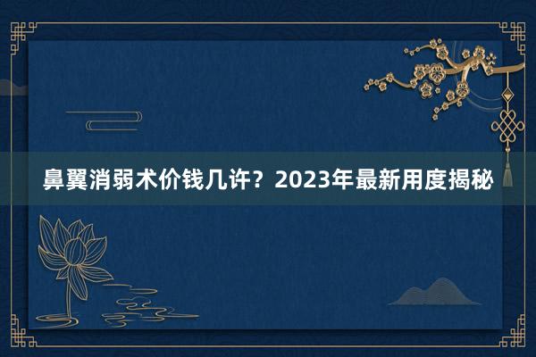 鼻翼消弱术价钱几许？2023年最新用度揭秘
