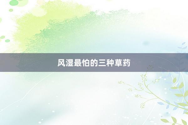风湿最怕的三种草药
